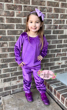 Load image into Gallery viewer, Purple Velvet Jogger