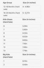 Load image into Gallery viewer, Purple Potion Glitter Ballerina Shoes