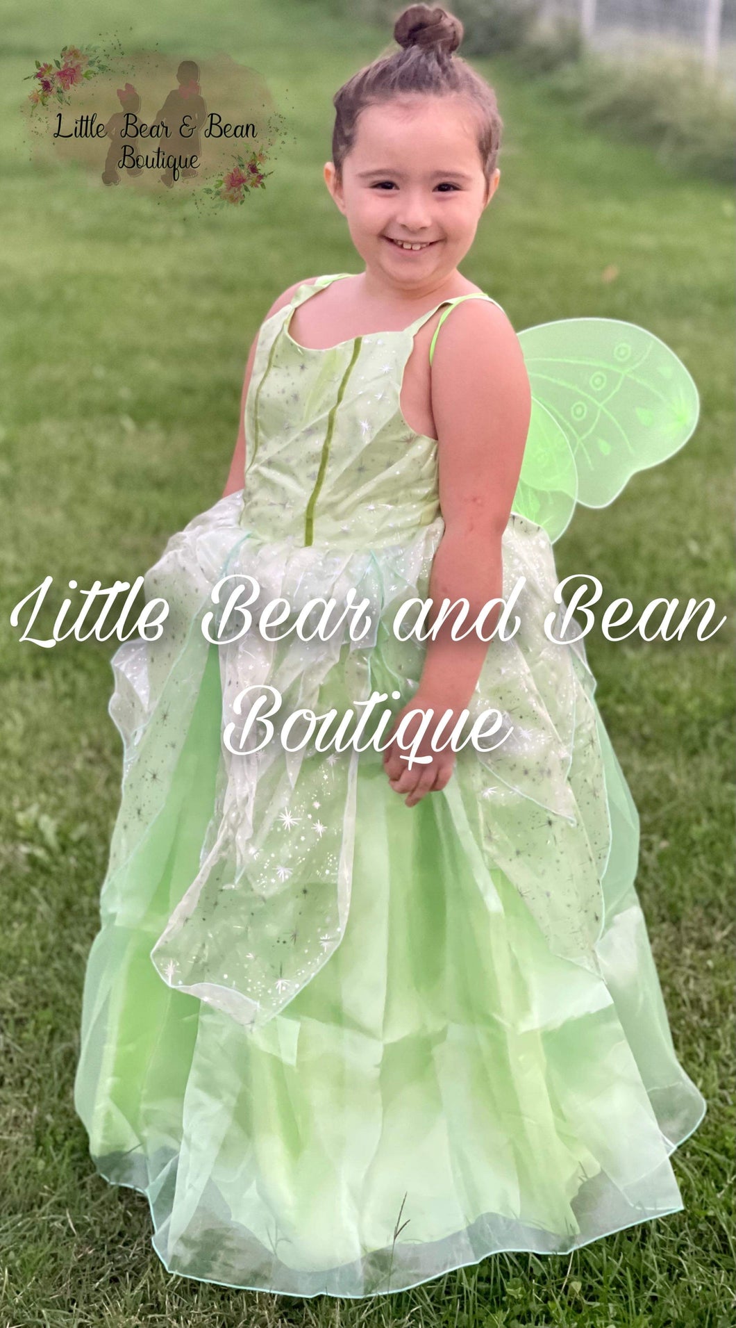 Frog Princess or Fairy Dress with Wings