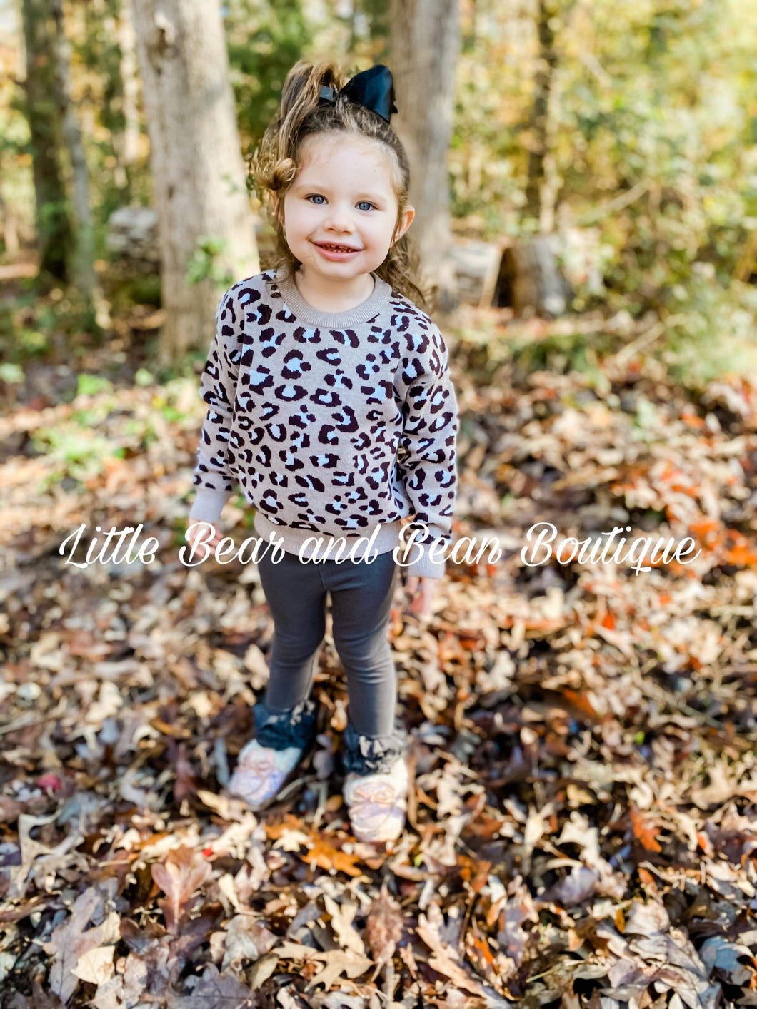Luxe Taupe Leopard Sweater